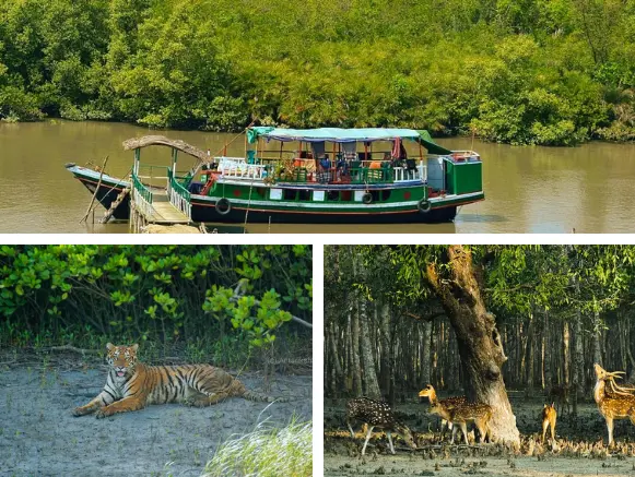 সুন্দরবন